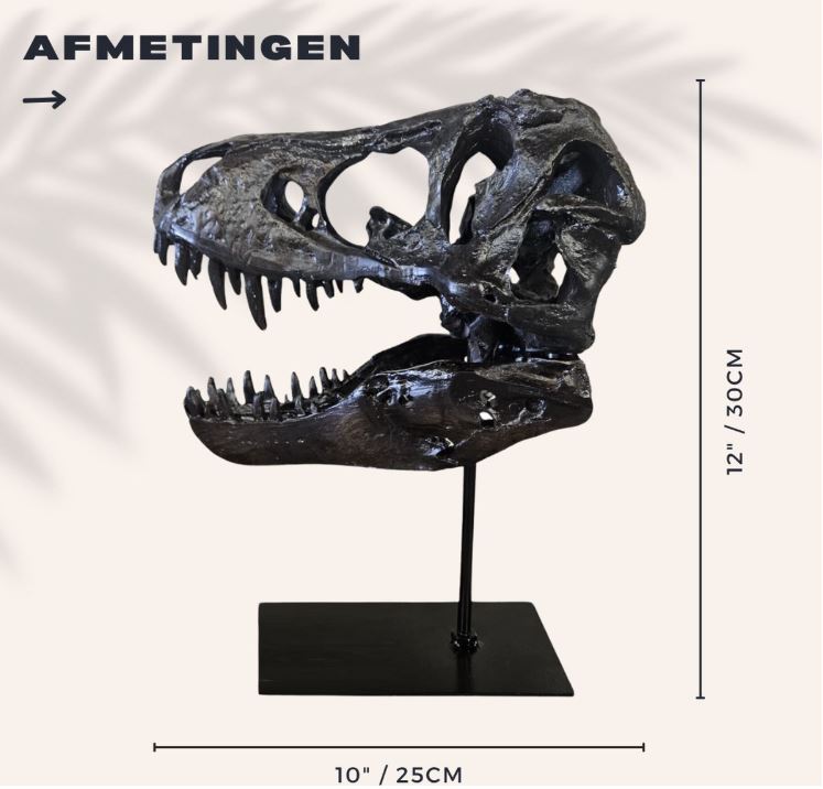 T-Rex schedel op Standaard - Replica - 30cm