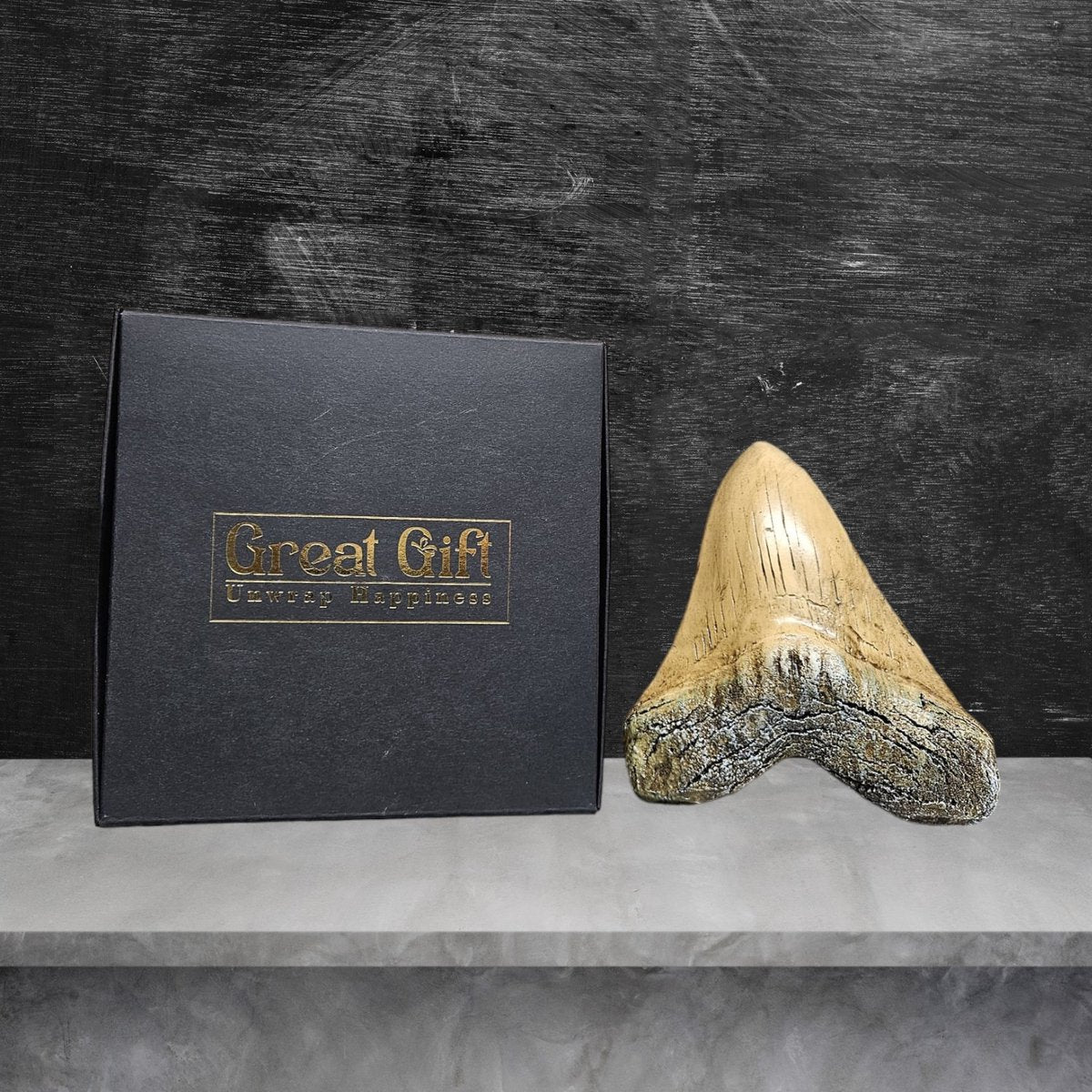 Megalodon Tand Replica - 14cm - Wit