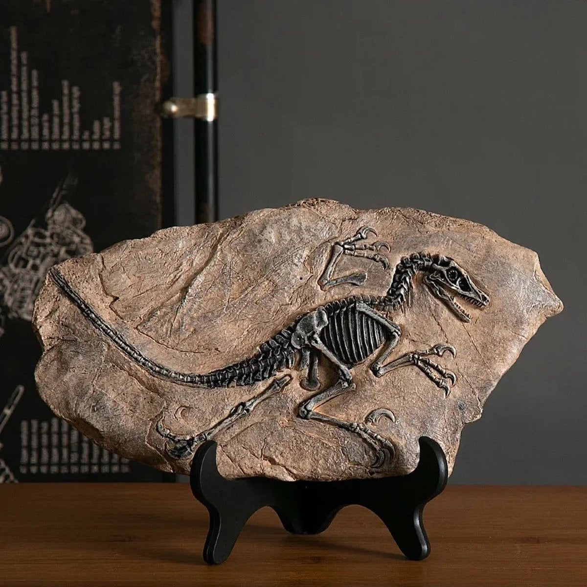 T rex Fossiel Replica – 30 cm Breed
