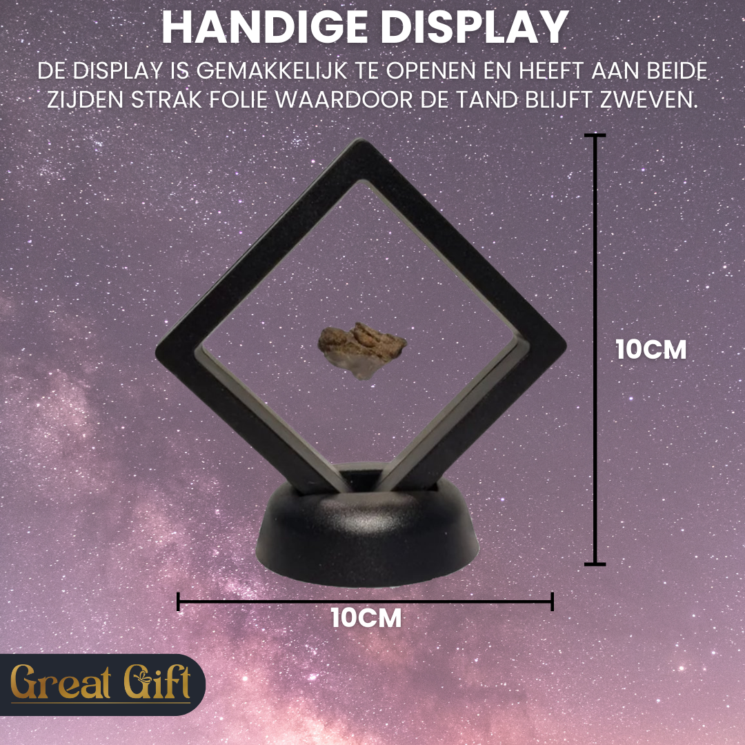 Originele Meteoriet - In Display -Al Haggounia 001 -