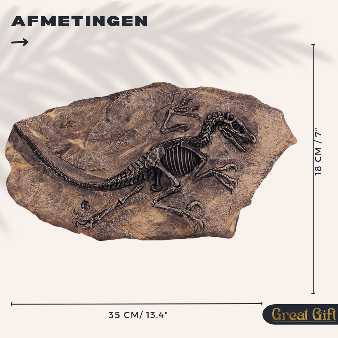 T rex Fossiel Replica – 30 cm Breed