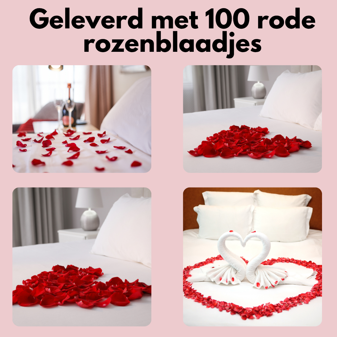 Gouden Roos Rood In Luxe Geschenkverpakking