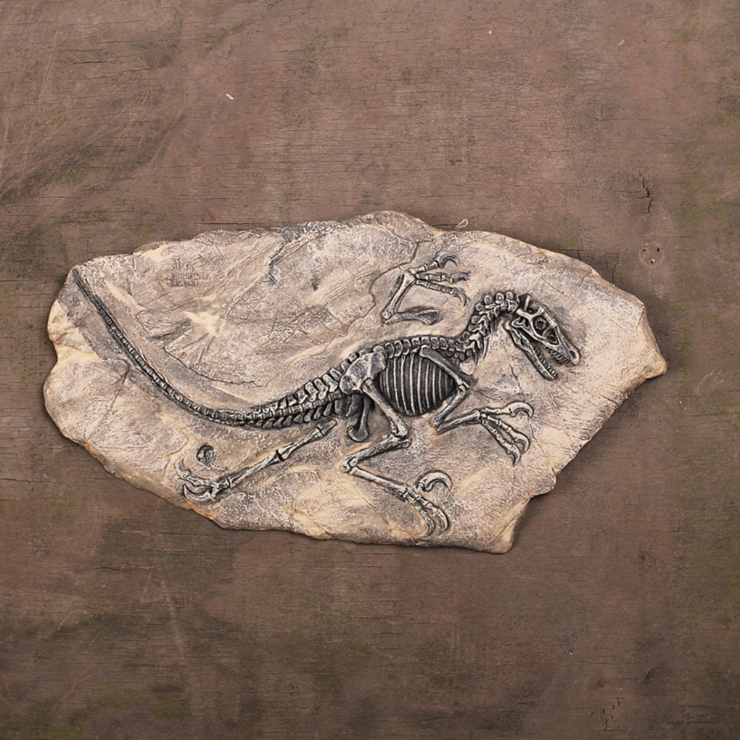 T rex Fossiel Replica – 30 cm Breed