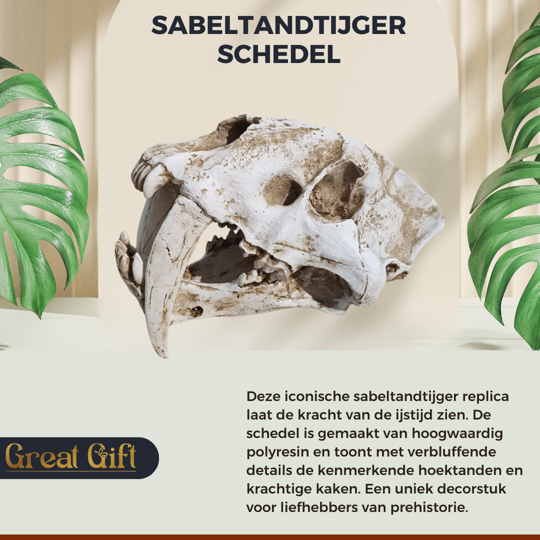 Sanbeltandtijger Schedel - Replica - 30cm