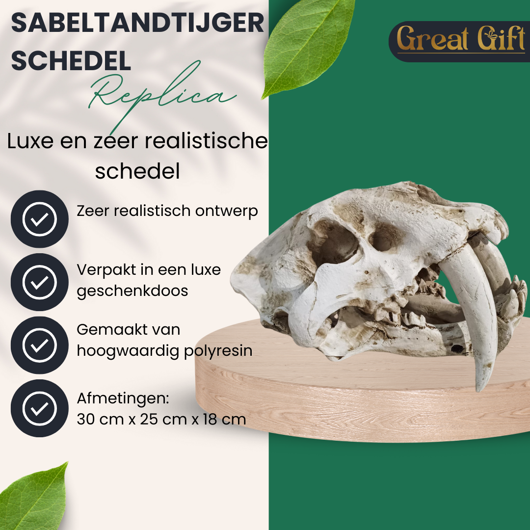 Sanbeltandtijger Schedel - Replica - 30cm