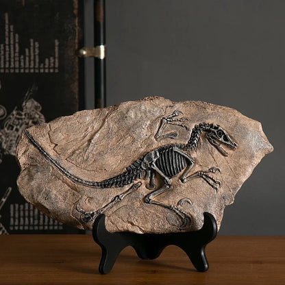 T rex Fossiel Replica – 30 cm Breed
