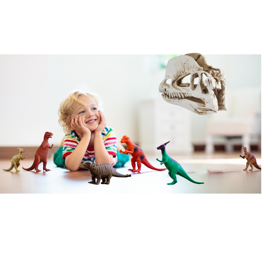 Dilophosaurus schedel in Geschenkdoos