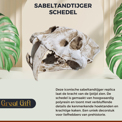 Sanbeltandtijger Schedel - Replica - 30cm